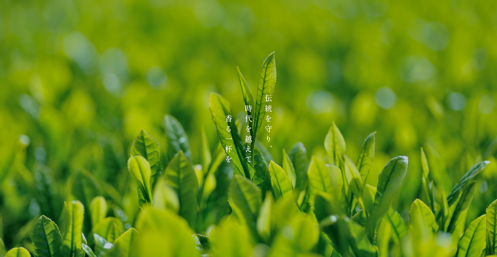 伝統を守り、時代を越えて香る一杯を。