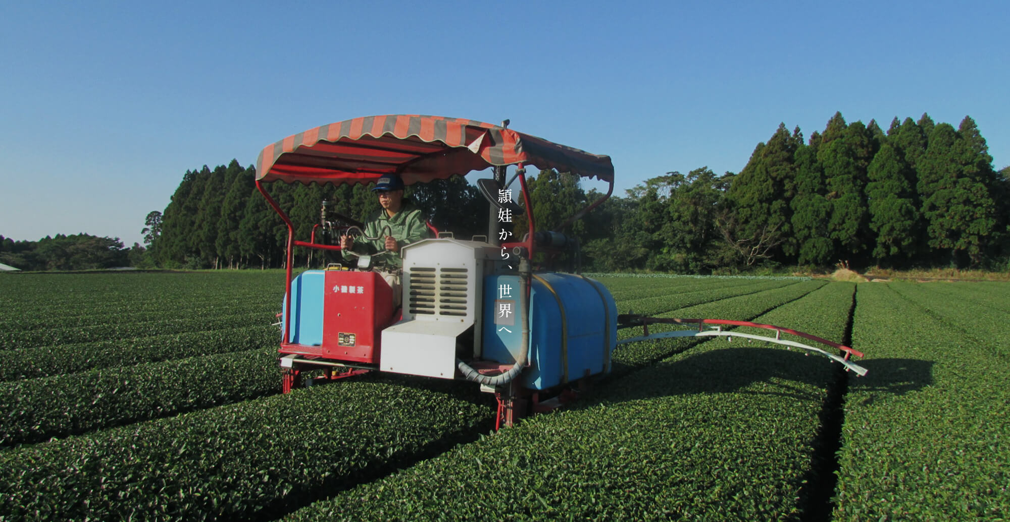 From Eiin to the World.頴娃から、世界へ。