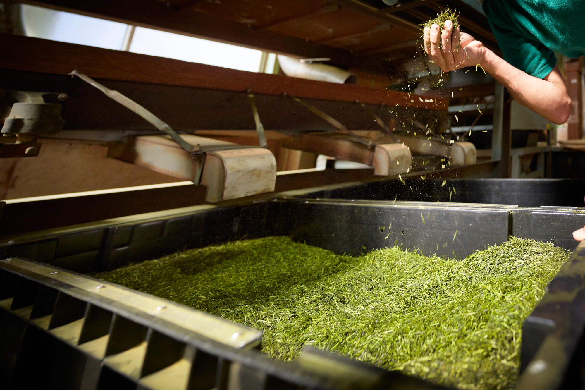 製茶工場で荒茶のふるい分けをする工程