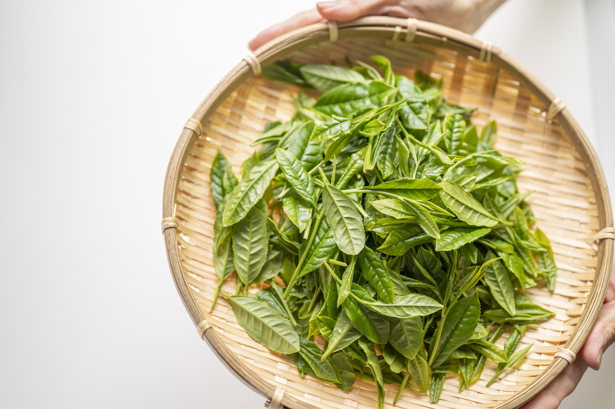 pixta_89522448_M (1)